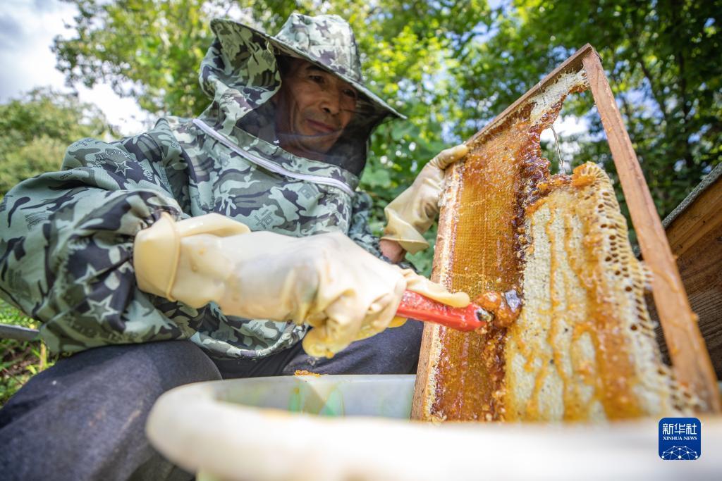 185游戏平台